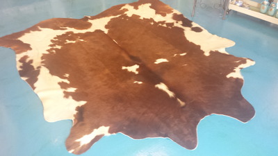 FREE SHIPPING Large Brazilian chocolate brown and white. ..stunning