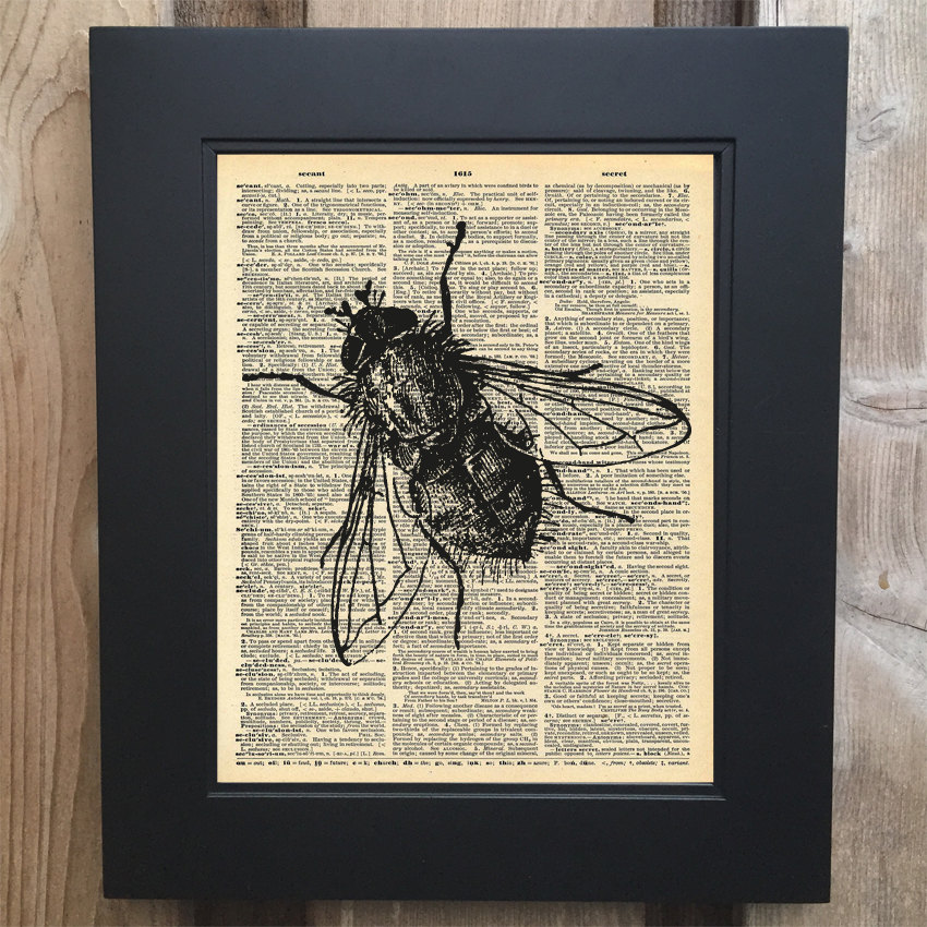 Fly on the wall art print on Upcycled vintage Dictionary page #0081