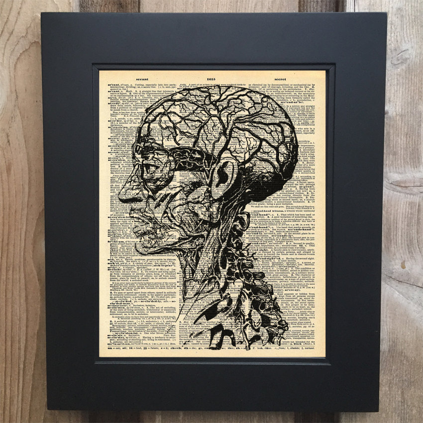 Anatomy Skull art print on Upcycled vintage Dictionary page #0074