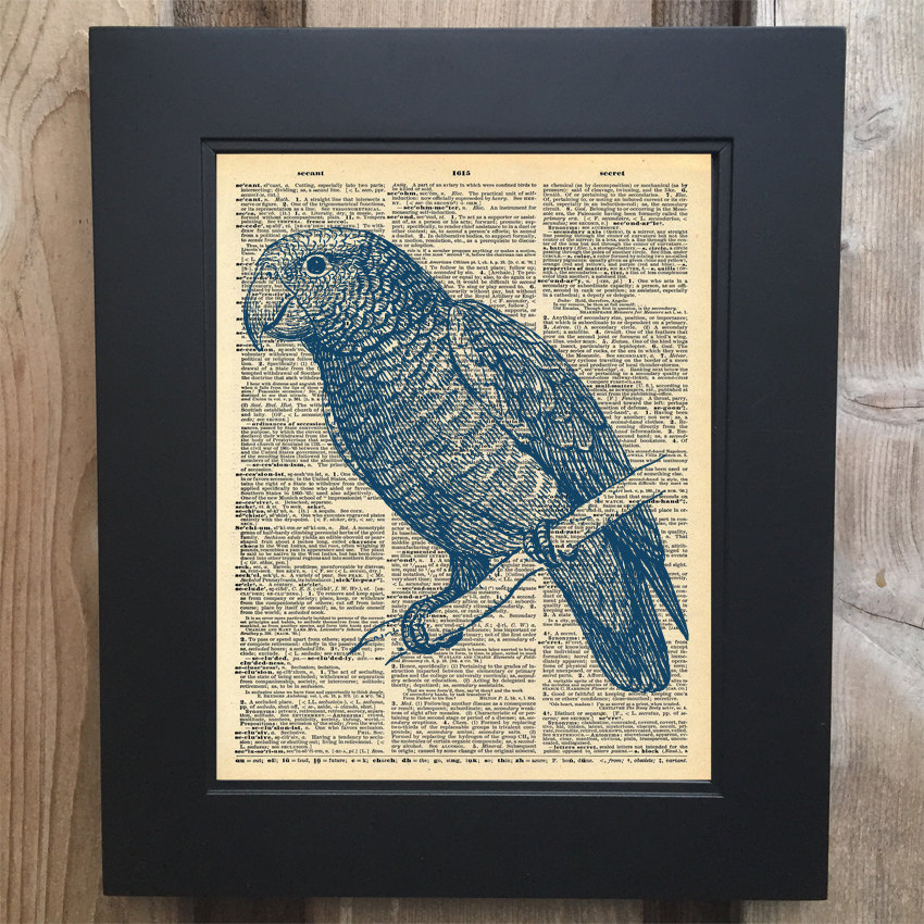 Cool Parrot art print on Upcycled vintage Dictionary page #0059