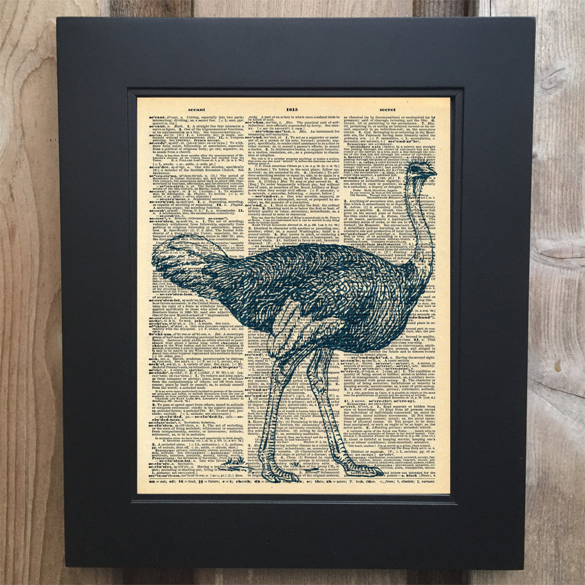 Cool Ostrich Head art print on Upcycled vintage Dictionary page #0055