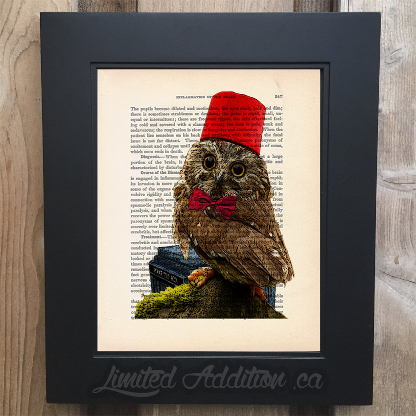 Doctor Owl Who Art print on Upcycled 1903 Medicology text book page #0014