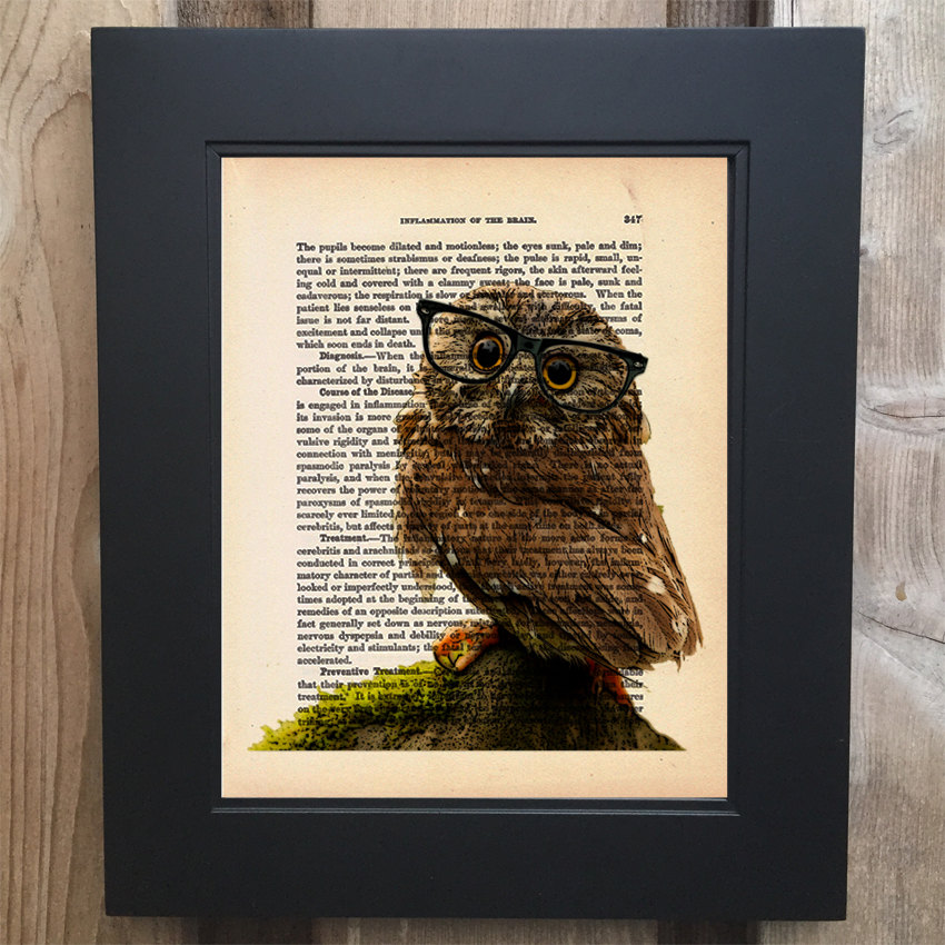 Hipster Owl Art print on Upcycled 1903 Medicology text book page #0013