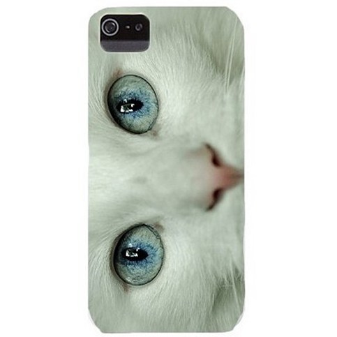 cat close-up - the iPhone case