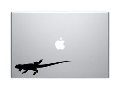 Animals Silhouette Biology - Detailed Lizard Anole Version 2 - Vinyl Decal For Laptops, Macbook, Tablets and Cars