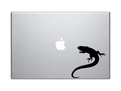Animals Silhouette Biology - Detailed Lizard Anole Version 3 - Vinyl Decal For Laptops, Macbook, Tablets and Cars