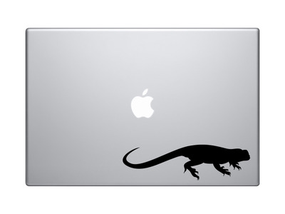 Animals Silhouette Biology - Detailed Lizard Anole Version 1 - Vinyl Decal For Laptops, Macbook, Tablets and Cars