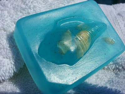 The Beach Comer in " Ocean Blue Secluded Beach