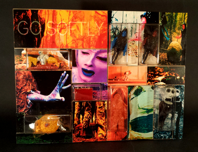 "GO SOFTLY" - JUNGOL - Multipack Playset