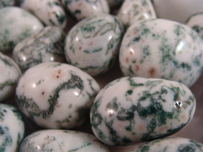 Polished Tree Agate