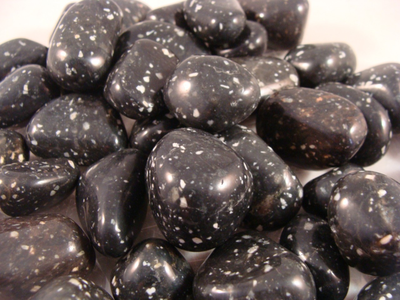 Polished Black Spotted Jasper