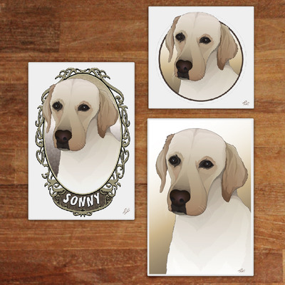 Single Dog Combo Pack (Save +30%)