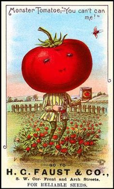 Tomato Leaf Corriander Long Burning Hand Dipped Incense