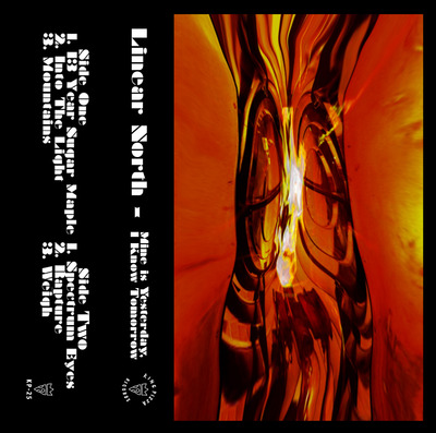 Linear North - Mine is Yesterday, I Know Tomorrow cassette