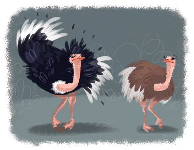 Feather Dancer Print