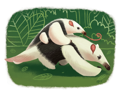 Tamandua Rider Print