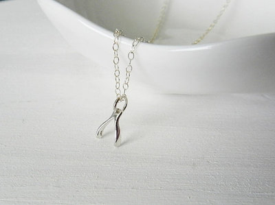 Tiny wishbone necklace in sterling silver