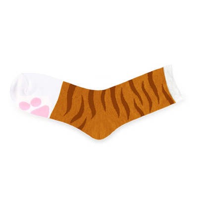 PAW SOCKS : Tabby Orange