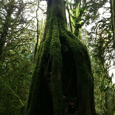 Fearthainne - "Knowing" CD