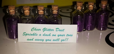Cheer Glitter Dust