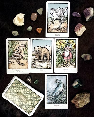 Explorer - See what areas of life you can explore. Great for students & adventurers. Intuitive psychic tarot oracle card divination reading