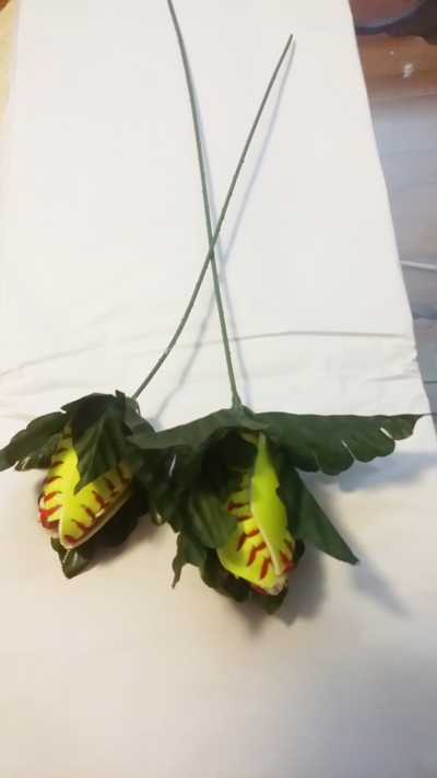 SOFTBALL ROSES