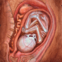 Nesting - Thumbnail 1