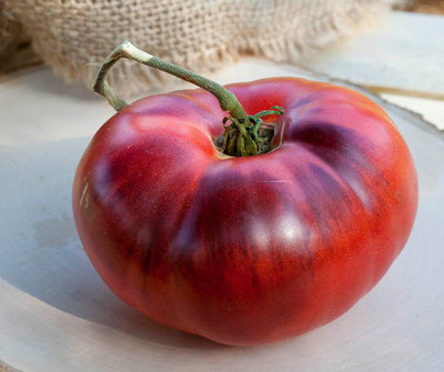 Indigo Apple Dark Purple Beefsteak Heirloom Tomato Premium Seed Packet