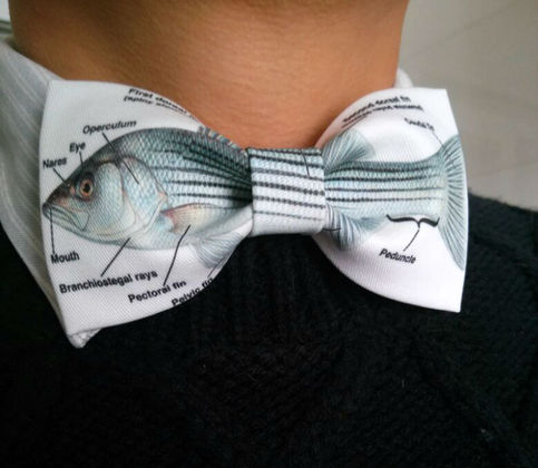 FISH Design White Color Cool Design BOW TIE Nice Gift Good for Causal Party Use