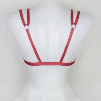 Red Swan Harness - Thumbnail 2