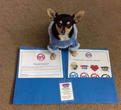 PupScout Membership - 1 year