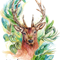 Sanctuary Stag - Print - Thumbnail 1