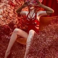 Deep Red Swan Harness - Thumbnail 3