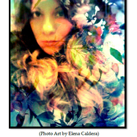 Flowers of War - Saira Viola - Thumbnail 2