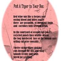 Flowers of War - Saira Viola - Thumbnail 4