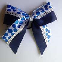 Navy, Blue Dots, and "Volleyball"