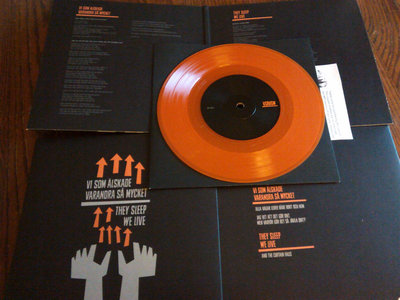 VI SOM ÄLSKADE VARANDRA SÅ MYCKET / THEY SLEEP WE LIVE - Split 7"