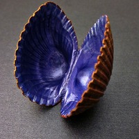 Painted Seashell Display/ Decor Accent in Copper Gold and Periwinkle Blue - Thumbnail 2