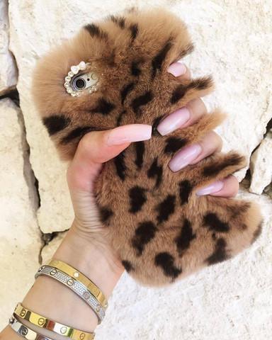 Fabulous Fur: Cheetah Print
