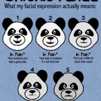 Chronic Painda - Thumbnail 2