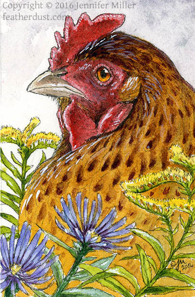 "Chicken with Aster and Goldenrod" Mini Framed Ink & Watercolor Painting