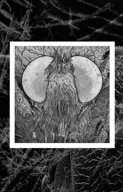 NOTHING - "The Spine Overshadowed By the Rope" 2xCS