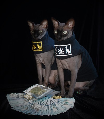 Pussy Money Weed Yeezus