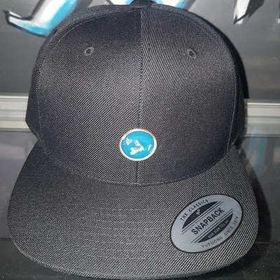 Limited edition flat earth hat pin + yupoong snapback combo - 1 out of 200 (random serial #)