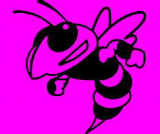 Bumble bee window decal, outdoor vinyl handmade kayak decal, mower decal, truck decal