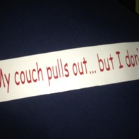 My Couch Pulls Out... But I Don't. - Thumbnail 1