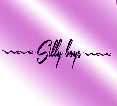 Silly boys, vinyl lettering outdoor letters window kayak decal car truck decal