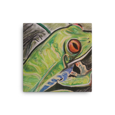 Michael David Art - Fabled Tree Frog Canvas Print