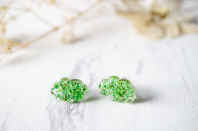 Real Dried Flowers and Resin Cloud Stud Earrings in Green