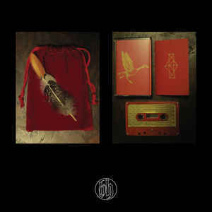 Common Eider, King Eider – Uhuulda (Pro CS)